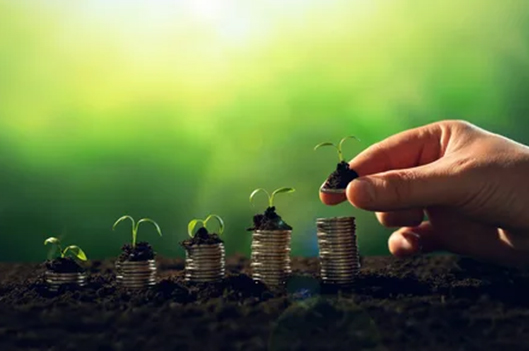 Seeding Success: Unveiling the Startup India Seed Fund